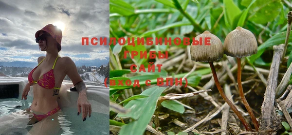 стафф Абинск