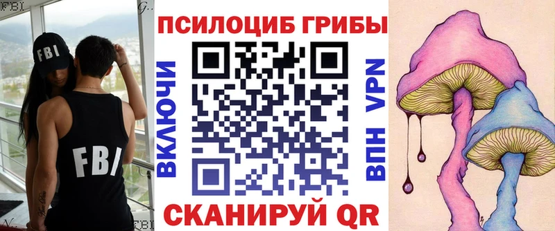 купить наркотик  MEGA зеркало  Псилоцибиновые грибы GOLDEN TEACHER  Элиста 